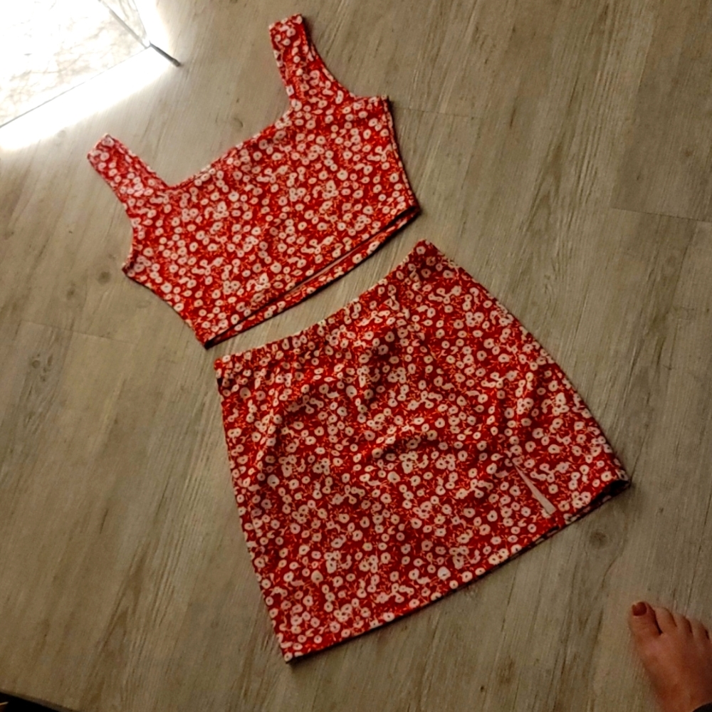 Cute Skirt and Crop Top Set